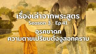 เรื่องเล่าจากพระสูตร Ep.41 | เรื่องอุรคชาดก : ความตายเปรียบดั่งงูลอกคราบ