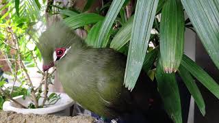 足羽山動物園【福井市】