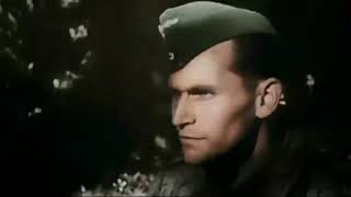 Operation Market Garden 1944 | World War 2 Footage |