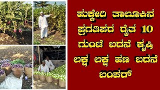 Hukkeri- ತಾಲೂಕಿನ ಪ್ರಗತಿಪರ ರೈತ 10 ಗುಂಟೆ ಬದನೆ ಕೃಷಿ ಲಕ್ಷ ಲಕ್ಷ ಹಣ ಬದನೆ ಬಂಪರ್..@prajarajyakannadanews