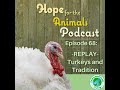 replay turkeys and tradition