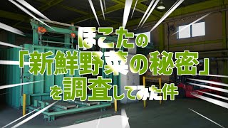 ほこたの『新鮮野菜の秘密』を調査してみた件