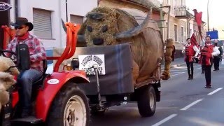 Farsangi felvonulás Kaposvár 2016.