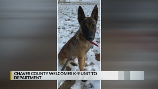Chaves Co. welcomes new K9 unit