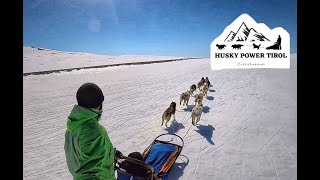 Mushing in the north / Husky Power Tirol