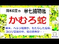 猛暑対策 冷涼怪談 「かむろ蛇 」総集版 作 岡本 綺堂、 ※朗読 by d.j.イグサ ＠ イグサ※読切！幕末、ペルリ艦隊が、もたらした疫病、コロリ蔓延の中、蛇の恐怖が・・・