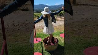 Experience the winemaking process when you immerse yourself in our Grape Stomp