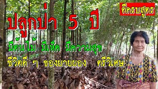 ดีครบสูตร ปลูกป่า 5 ปี มีต้นไม้ มีเห็ด มีความสุข ชีวิตดี ๆ ของคนรักต้นไม้จากคุณยายผอง  ตรีวิเศษ