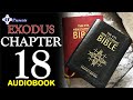 EXODUS: CHAPTER 18 - AUDIOBOOK (The CTS New Catholic Bible)