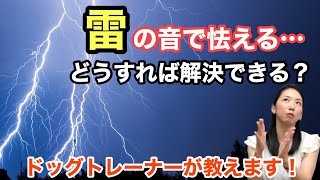 犬が雷の音を怖がる・・・そんな時には？？