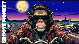Loose Nights (- Groove Monkey -)