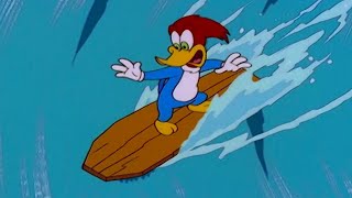 Woody Competes In A Surfing Contest | 1 Hour of Woody Woodpecker Full Episodes