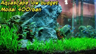 #89 Membuat Aquascape low budget (harga bahan cek diskripsi)