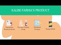 business innovation at sun pharmaceutical industries ltd and pt kalbe farma tbk