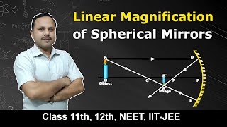 Linear Magnification of Spherical Mirrors | Ray optics | 12th Physics Term 2 #cbse