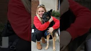 Dr. Nicole Arcy Reveals Reason Why she left Dr. Pol #drpol #veterinary #drnicole #vetlife