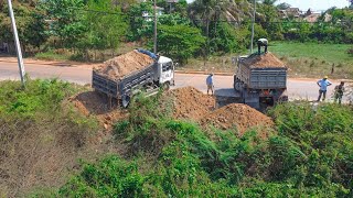 Dropped soil rock bury clear forest Processing working by skill mini dozer pushing and mini 5T truck