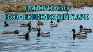 ВОЗНЕСЕНОВСКИЙ ПАРК ЗАПОРОЖЬЕ