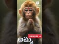 amma pade jola pata song #shorts#viral#treanding#monkey