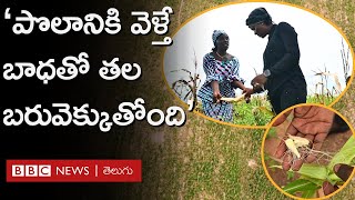 Nigeria: ‘‘25 ఏళ్లుగా వ్యవసాయం చేస్తున్నా, ఇలాంటి దారుణ పరిస్థితి చూడలేదు’’