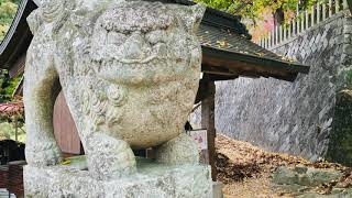 「臼山八幡神社」Usuayama Hachiman (師走 紅葉最盛期　補遺)    広島市佐伯区石内