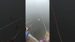 jellabi kandai thoondil meen padipathu thundil fishing jellapi