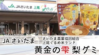 「黄金の雫 梨グミ」2023-2024 あげお市民セレクション エントリーNo4 JAさいたま(さいたま農業協同組合)