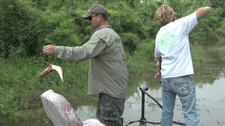 Bowfishing 2013