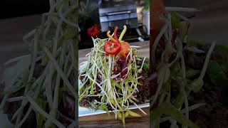 Growing and Cooking Bean Sprouts #gardening #beansprouts # #hydroponics