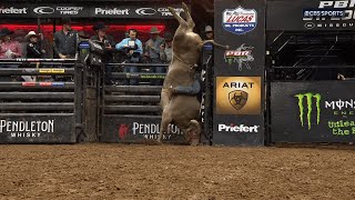 Beyond Belief: WRECK's Unusual Bull Riding Handstand Elicits Universal WOWs