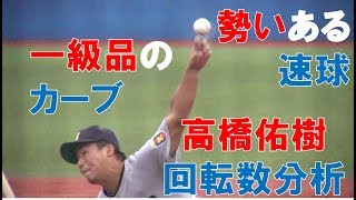 高橋佑樹の球質分析＆投球シーン＆投球フォーム