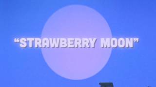 Strawberry Moon (Official Music Video) | Blue Water Highway