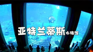 全球仅三家，七星级亚特兰蒂斯酒店，失落的空间‘水族馆太震撼了