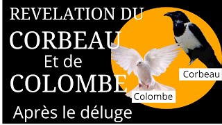 LA REVELATION DES SECRETS DU CORBEAU ET DE LA COLOMBE après le déluge de Noé