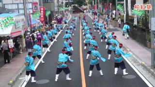 よさこい柏紅塾 2011坂戸よさこい　8月21日元町