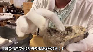 沖縄の海岸で442万円の龍涎香が発見！！