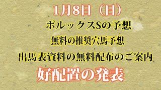 【競馬】ポルックスS　無料・無償の推奨穴馬予想 　出馬表チェック資料無料配布のご案内