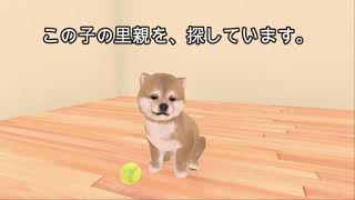 柴犬の里親になりませんか？ 「わんこと私 - ペット育成ゲーム」