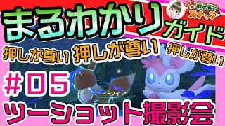 『New ポケモンスナップ』イーブイ・ニンフィア２ショット撮影会！押しが尊い！ようこそ！レンティル地方【#5攻略】