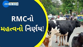 રાજકોટઃ RMCનો મહત્વનો નિર્ણય; રખડતાં ઢોરની રાત્રે ફરિયાદ મળશે તો પણ થશે કાર્યવાહી | Zee News