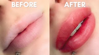 Easy Lip Blush Tutorial For Beginners