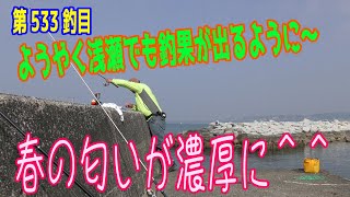 釣り動画ロマンを求めて 533釣目（S海岸）