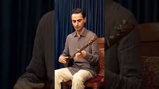 Iranian Instrument: Setar #musician