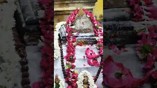 Srimad Venkata Subhananda Swamigal Jala Jeeva Samadhi #jeevasamathi