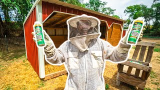 SAVING My BACKYARD FARM Animals from ANGRY WASPS!!!