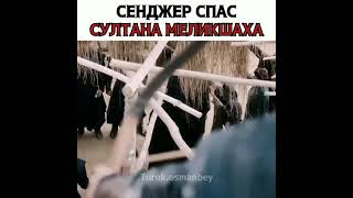 великие сельджуки  сенжер спасает своего отца