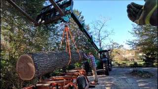 Milling some HUGE white oak In Asheville NC running the LT35 woodmizer