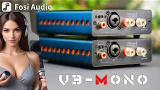 Fosi Audio V3 MONO