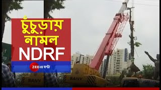 AMPHAN-এ ভেঙে পড়েছে বিপুল সংখ্যক বড় গাছ, ক্রেন-মেশিন দিয়ে কেটে সাফ করাই এখন একমাত্র পথ | NDRF