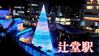 【辻堂駅】高さ20メートル巨大ツリーのイルミネーション2024